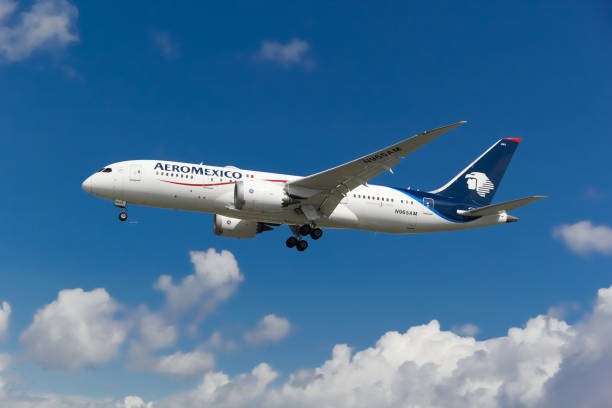 Aeromexico Airlines Manage Booking